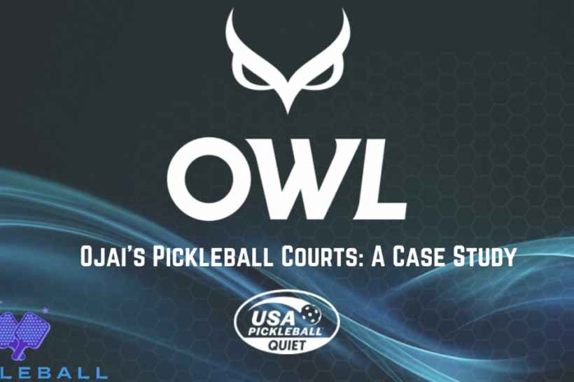 Owl paddles Ojai valley pickleball case study with white Owl logo and blue pickleball bits logo.